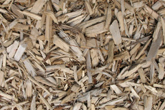 biomass boilers Annalong